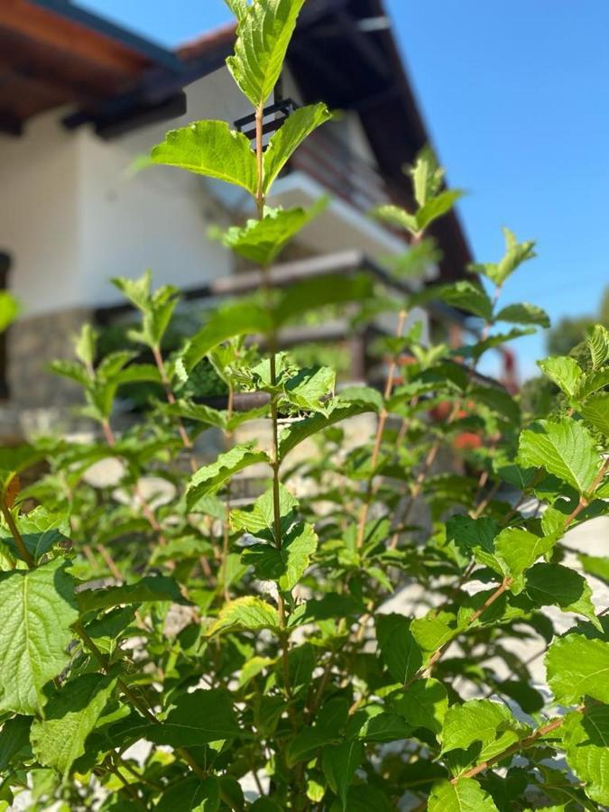 Plitvice Fairytale Bed & Breakfast พลิตวิชกา เยเซรา ภายนอก รูปภาพ