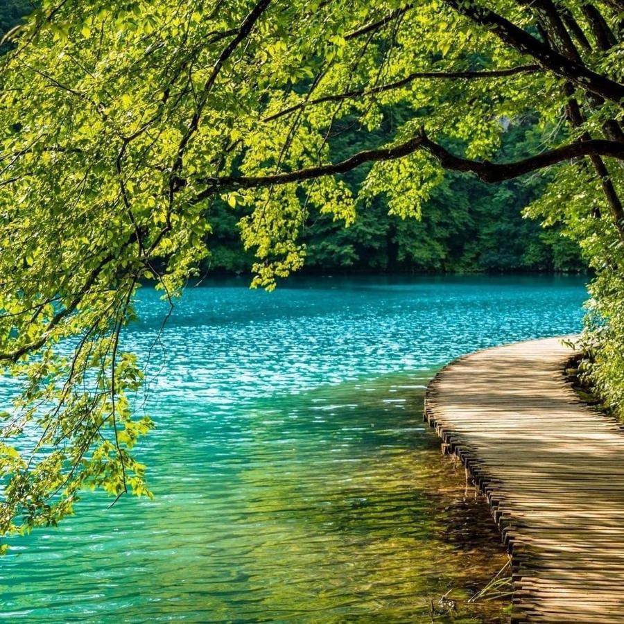 Plitvice Fairytale Bed & Breakfast พลิตวิชกา เยเซรา ภายนอก รูปภาพ